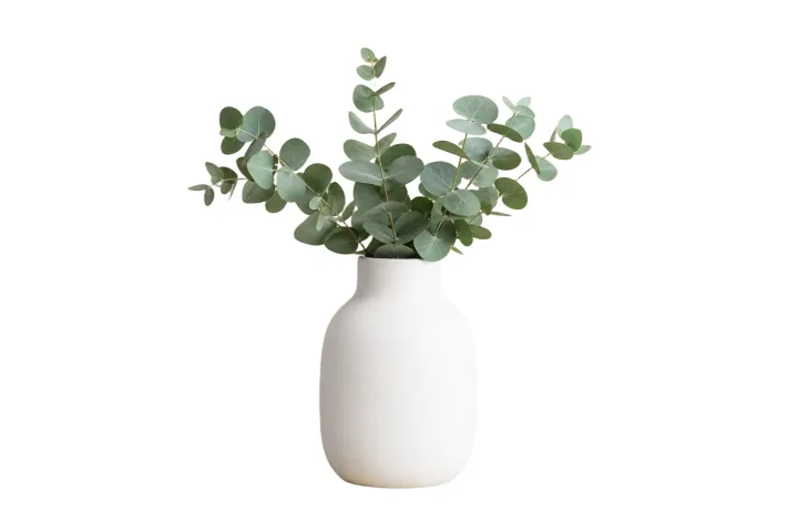 White background image with reviewed shadow and spacing