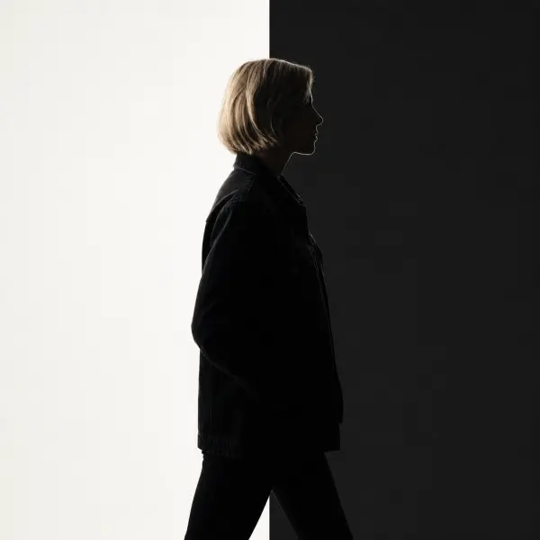 Light and dark subject edges crossing contrasting background panels.